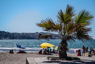 People at beach against clear sky