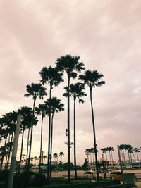 Silhouette palm trees against sky during sunset