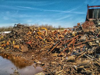 Stack of plants on field against sky