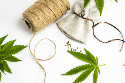 High angle view of leaves and white on table