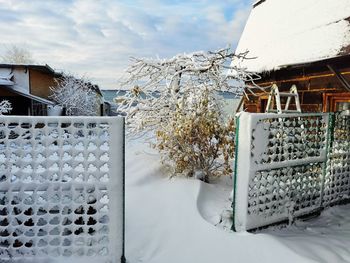 winter