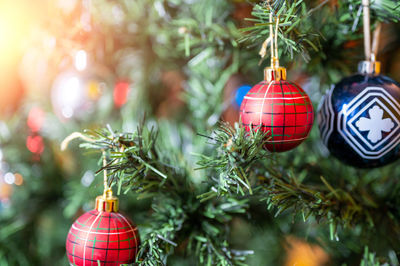 Close-up of christmas decorations hanging on tree