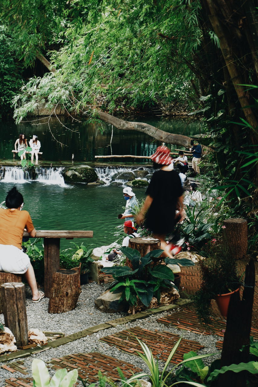 REAR VIEW OF PEOPLE SITTING BY PLANTS AGAINST TREES AND WATER