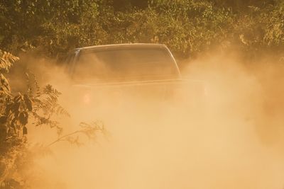 Rear view of a car ride on a dusty road in a dusty cloud in aberdare national park in kenya.