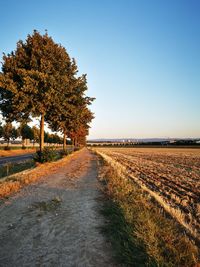 Road amidst trees on field against clear sky during autumn