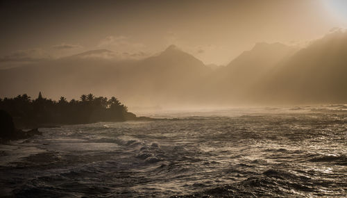 Scenic view of seascape by mountain and trees during sunrise