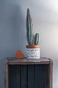 Close-up of potted plant on table at home