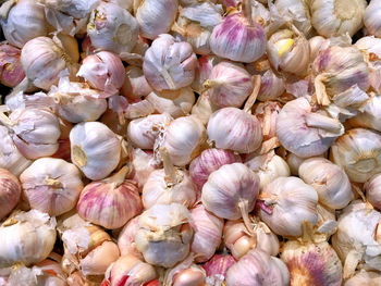 Pile of fresh garlic