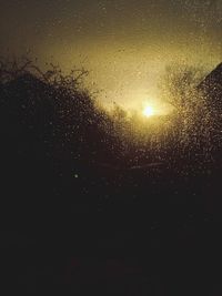 Silhouette of trees against sky at night