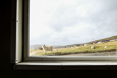 View of sky seen through window