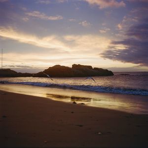 Scenic view of beach against sky during sunset