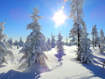 Panoramic view of snow covered land against sky