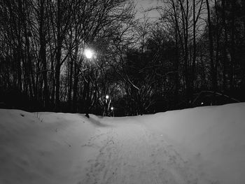 Snow covered trees against sky at night