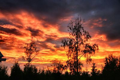Low angle view of silhouette trees at sunset