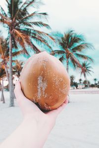 Close-up of hand holding ice cream