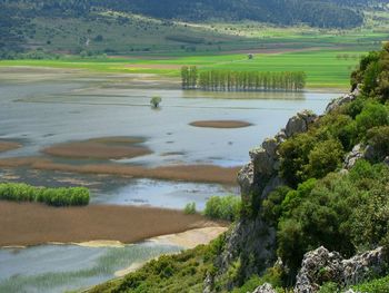 Scenic view of agricultural field