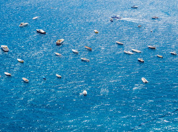 High angle view of sailboats in sea