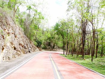 Road amidst trees against sky