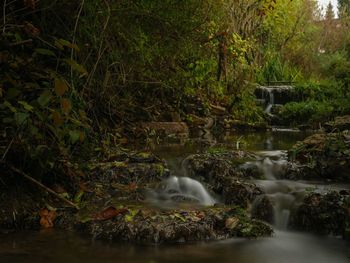 View of waterfall in forest