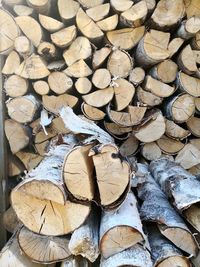 Full frame shot of logs in forest