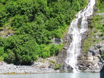 Scenic view of waterfall in forest