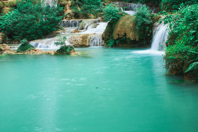 Scenic view of waterfall in forest