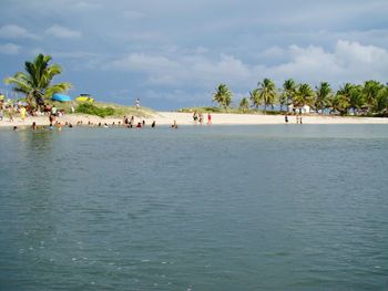 Group of people on beach