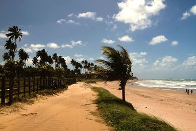 View of calm beach against sky