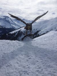 Bird statue on snowcapped mountain against cloudy sky