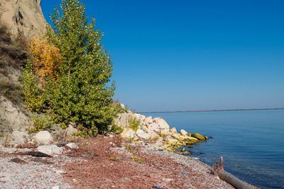 Scenic view of sea against clear sky