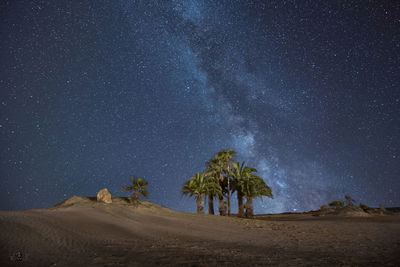 Scenic view of trees against sky at night