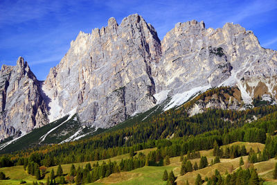 Panoramic view of pine trees and mountains against sky