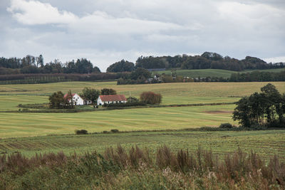 Scenic view of farm against sky