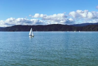 Sailboat sailing on sea against sky