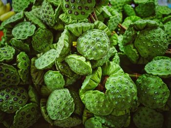 Full frame shot of vegetables