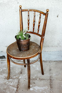 Potted plant on table against wall