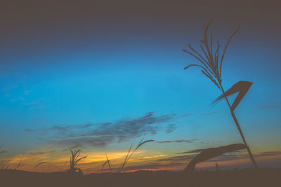 Scenic view of landscape against sky at sunset