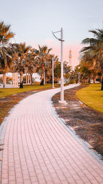 Street by palm trees against sky in city