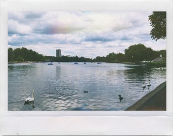 Bird flying over calm lake