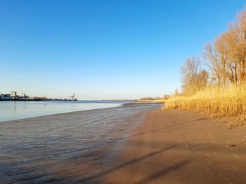 Scenic view of beach against clear blue sky