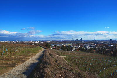 Scenic view of rural landscape