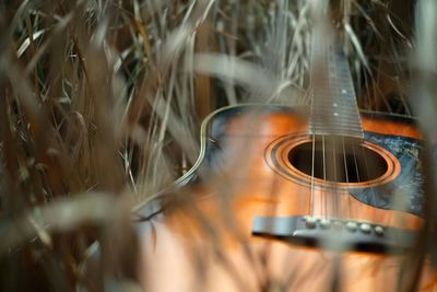 Close-up of guitar on field