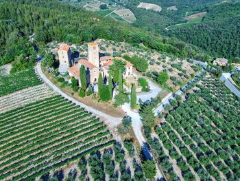 High angle view of trees and houses in village