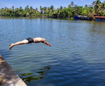 View of bird in lake