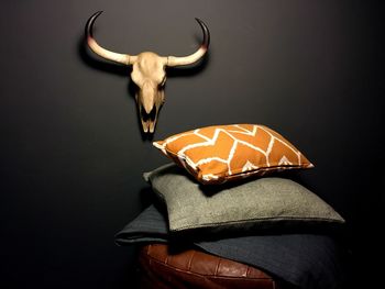 Animal head trophy with cushions in foreground