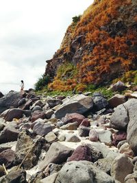 Rear view of man standing on rock by sea against sky