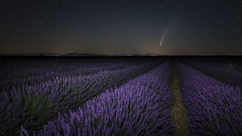 Scenic view of field against sky at night