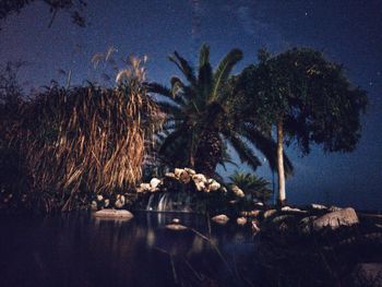 Palm trees by lake against sky at night