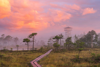 View of plants on field against cloudy sky