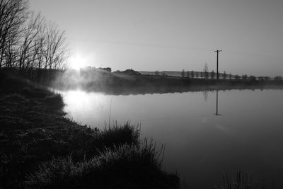 Reflection of bare trees in water